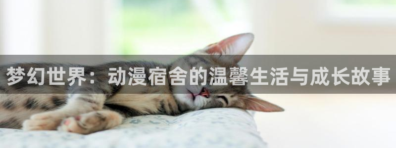 maruten完整版免费樱花动漫：梦幻世界：动漫宿舍的温馨生活与成长故事