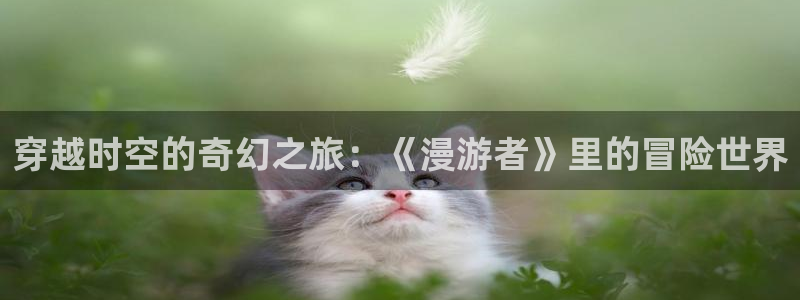 樱花动漫番：穿越时空的奇幻之旅：《漫游者》里的冒险世界