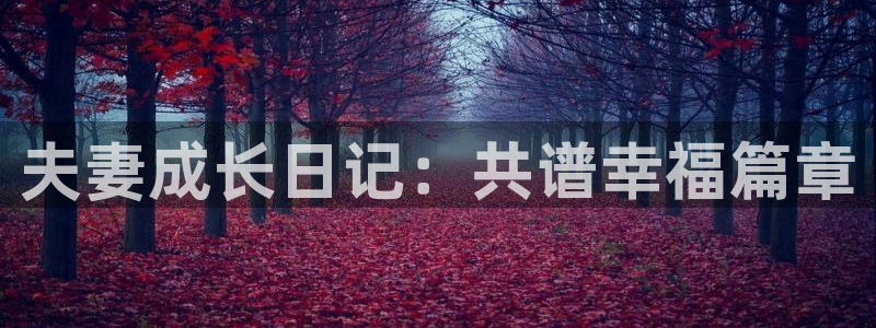 名侦探柯南国语免费观看樱花动漫：夫妻成长日记：共谱幸福篇章