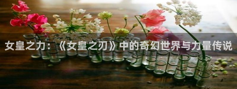 水星的魔女樱花动漫：女皇之力：《女皇之刃》中的奇幻世界与力量传说